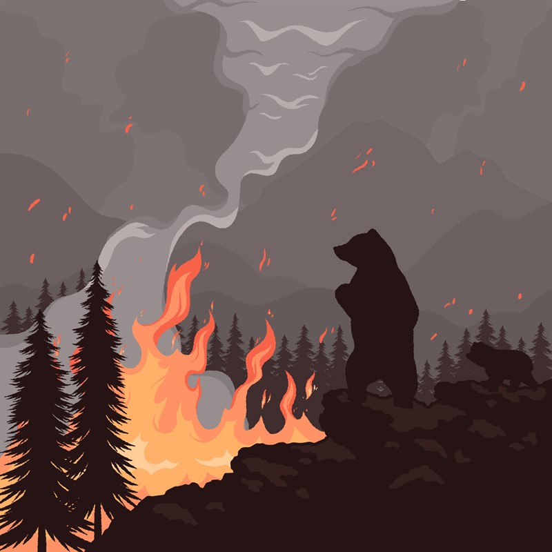 Fire(1)
