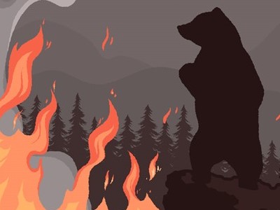 Fire(2)